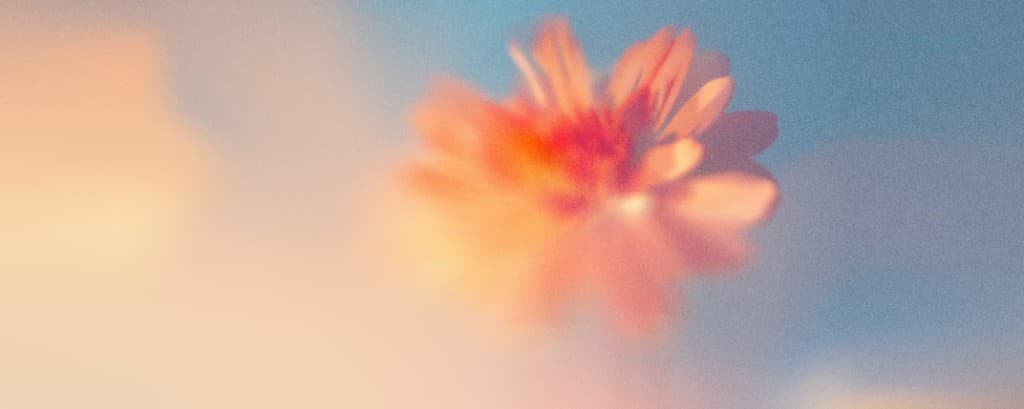 Claude Curso comparison card background